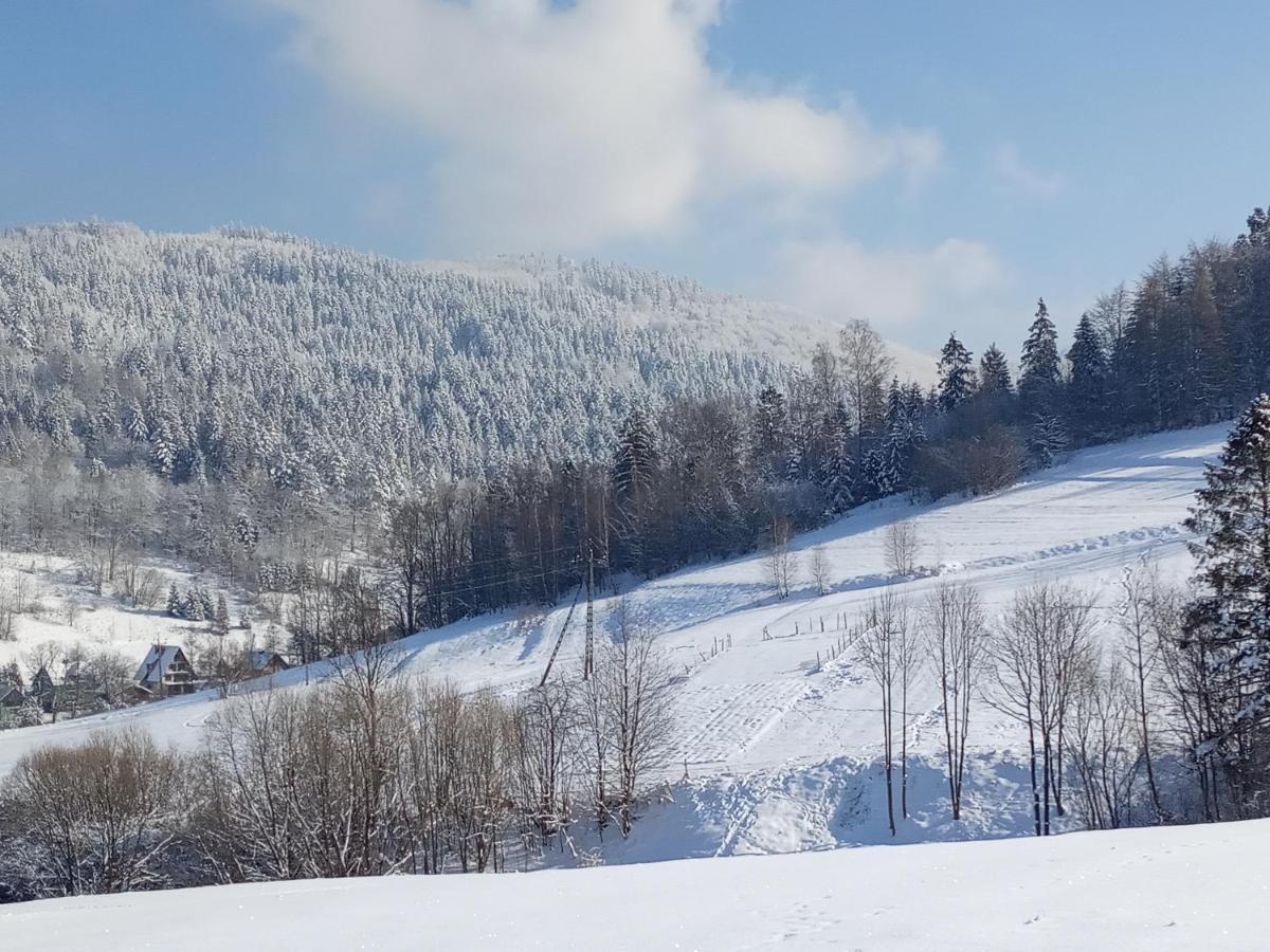 Вілла Dom W Gorach Przy Szlaku Bystra  Екстер'єр фото